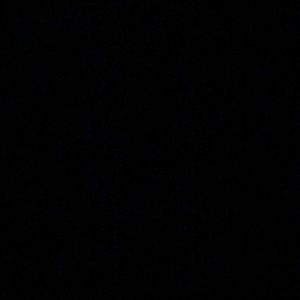 Meet your Posher, Jarvik